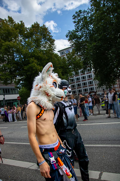 CSD Hamburg 2026 · Bild 071