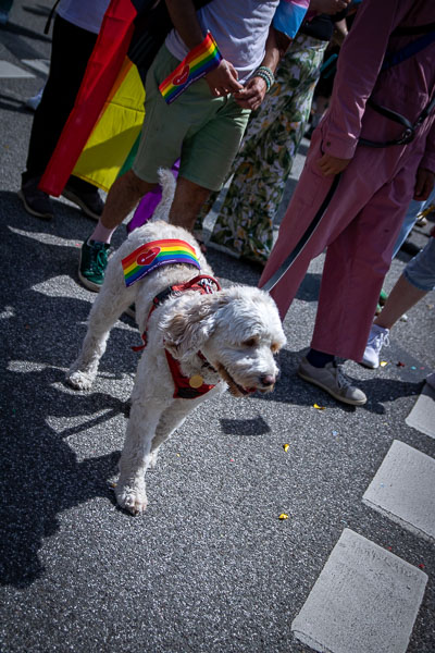 CSD Hamburg 2026 · Bild 296